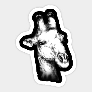 Giraffe Animal Portrait Sticker